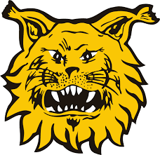 fc-ilves